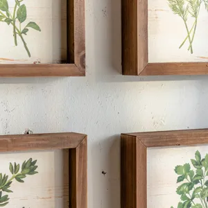 American country style botanical specimen wall art framed plant prints decor for living room.