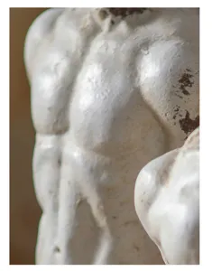Close-up detail shot of a muscular male torso sculpture showing clear plaster home decor texture.