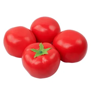 Artificial Foam Tomato Model Realistic Fake Fruit Toy Photography Prop 4 Pack Main Display
