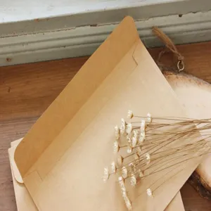 Simple vintage kraft paper envelope for cards, rustic stationery storage, blank design.