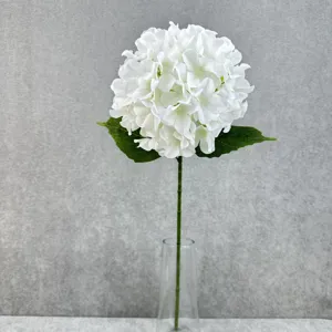 Close up of artificial white hydrangea flower stem with green leaves in a clear glass vase.