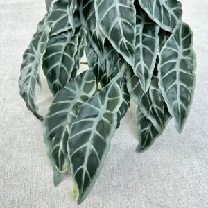 Detailed close-up of artificial alocasia hanging plant leaves, perfect for home decor styling.