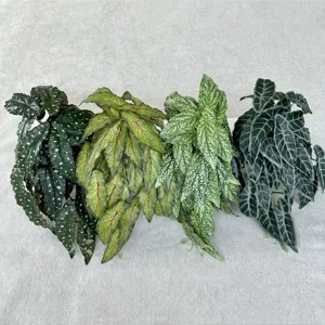 Artificial hanging plant detail, multi-style leaf decor for indoor room decoration.