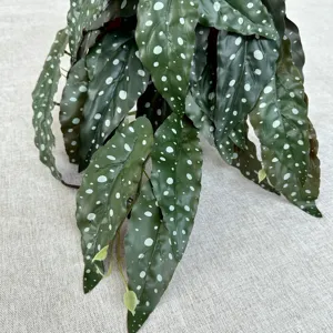 Artificial hanging green plant with spotted leaves, perfect for indoor home decor and floral arrangement.