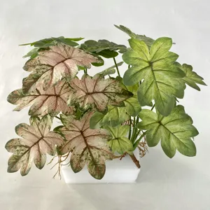 Artificial variegated plant leaves for home living room decor, faux green foliage plant.