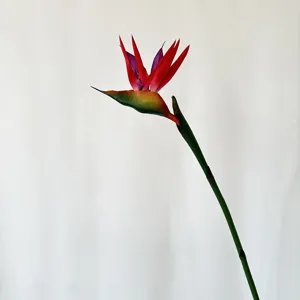 Artificial bird of paradise flower detail shot faux botanical decor prop close-up view
