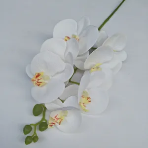 Detailed view of 3D printed artificial phalaenopsis orchid branch with white flowers and buds.