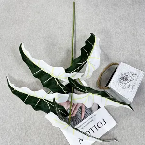 Détail de branche de feuille d'alocasia artificielle, feuillage vert et blanc pour déco.