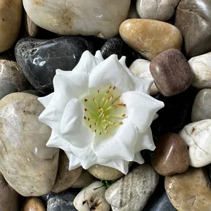 Détail de tête de fleur artificielle blanche avec étamines jaunes sur des galets lisses.