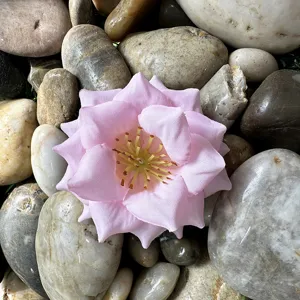 Détail de fleur de rose artificielle, idéal pour les loisirs créatifs et décorations de mariage.