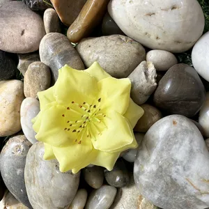 Fleur de rose jaune artificielle en gros plan pour déco de mariage, matériel de bricolage.
