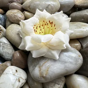 Gros plan d'une fleur artificielle blanche en tissu sur des galets pour déco d'hôtel détail