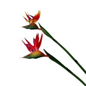 Artificial Bird of Paradise flower fake floral arrangement home decor photography props main image