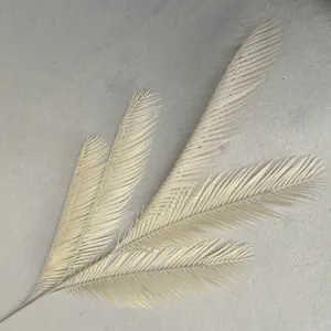 Close-up view of artificial cycad leaf branch, detailed simulation plant texture for interior decor.