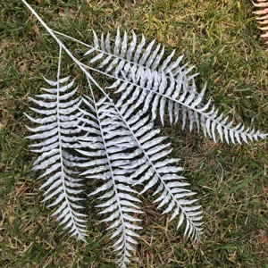 Detailed view of artificial silver Boston fern leaf branch for home and wedding decor setup.
