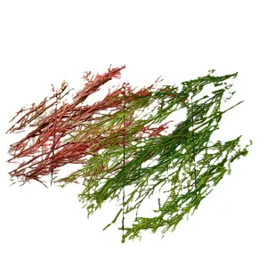 Artificial ribbon grass simulation green plants wedding floral hanging decoration setup