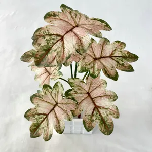 Artificial potted plant with pink variegated leaves, 7-head home decor for living room