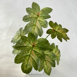 Close-up detail of artificial variegated leaf plant, natural texture for home interior.