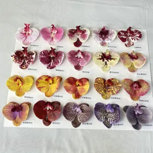 Artificial phalaenopsis orchid flower heads color sample display for wedding home decor.