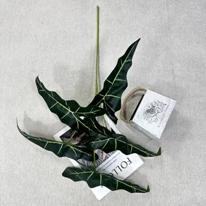 Vue détaillée de la branche de feuille de plante verte Alocasia artificielle pour déco