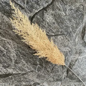Detailed view of single artificial pampas grass fake reed flower plant for home decor.