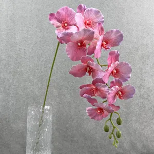 Kunstmatige phalaenopsis orchidee detail, close-up van paarse bloementak met knoppen.