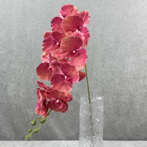 Close-up detail van donkerroze kunstmatige phalaenopsis orchidee bloemtak met heldere vaas.