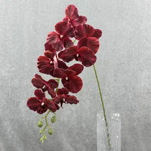 Kunstmatige Phalaenopsis orchidee detail, donkerrode neppe bloemtak voor huisdecoratie.