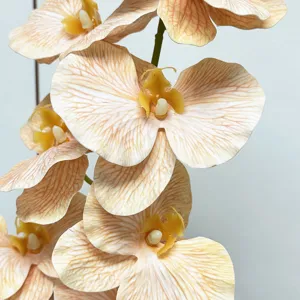 Kunstmatige Phalaenopsis Orchidee Bloementak 9-Kops Zijden Bloem Woondecoratie Hoofdafbeelding