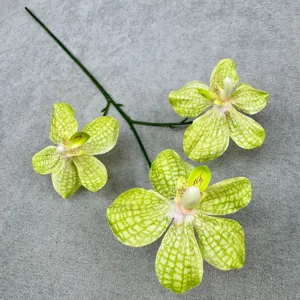 Nahaufnahme des künstlichen Vanda-Orchideenzweigs mit drei grünen, gittergemusterten Blüten.