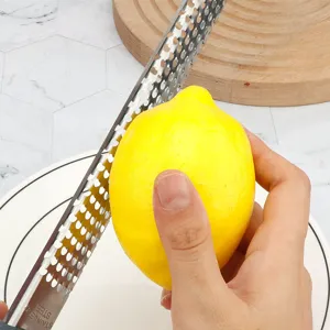Stainless steel cheese grater and lemon zester tool for kitchen, durable multi-use shredder.