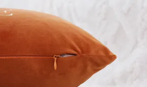 Solid color velvet throw pillow cover detail view, soft plush texture with hidden zipper closure.