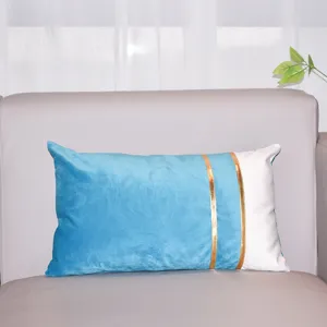 Close-up detail of the modern velvet cushion cover with blue white design and gold stripes.