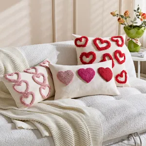 Valentine's Day heart embroidered throw pillow cover set, cozy living room cushion.