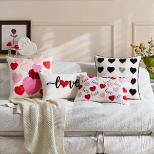 Valentine's Day plush pillow covers set with cute heart embroidery and love letters.