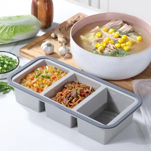 Silicone multi-compartment food storage box for microwave and refrigerator meal prep use.