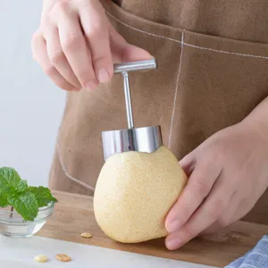 Edelstahl Fruchtkernausstecher, Apfel und Birne Kernen Entferner für die Küche.