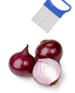 Support d'oignon en acier inoxydable trancheur de légumes aide outil de cuisine.