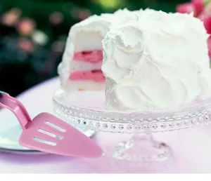 Pink push-type cake spatula detail view, showcasing the plastic slicing design clearly.
