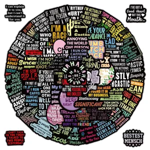 100pcs sarcastic quote waterproof graffiti stickers for journal laptop notebook decoration.