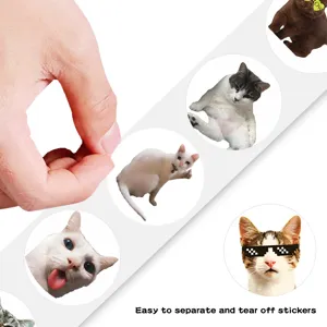 Cute funny cat roll stickers, 500 pcs funny pet decorative stickers for crafts!