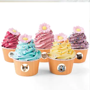 Detailed view of cute cat meme stickers featuring funny expressions on colorful cupcakes.