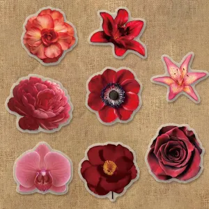 Autocollants de fleurs rouges detail montrant divers designs de plantes mignons pour journal.