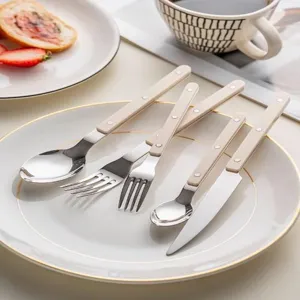 Ensemble de couverts en acier inoxydable style français avec manche ABS, élégante cuillère.