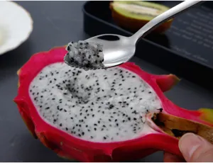 Stainless steel fruit puree spoon with serrated edge for baby food and fresh fruit scraping.