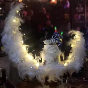 Großes Feder-Mond-Kuchendekor-Set mit LED-Lichtern für Geburtstagsfeiern und festliche Deko.