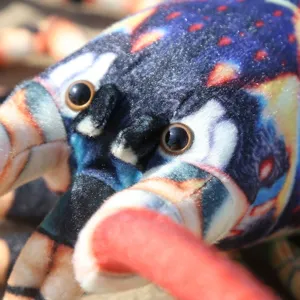 Colorful plush toy close-up showing detailed printed texture, soft fabric, vibrant marine design.