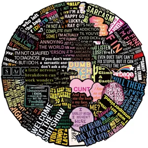 Adesivi Impermeabili con Slogan Sarcastici Divertenti Decalcomanie Graffiti per Telefono Portatile Chitarra Quaderno Decorazione