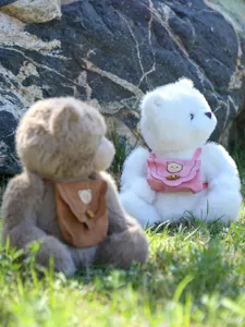 Detailansicht niedlicher Plüsch-Teddybären mit kleinem Rucksack auf grünem Gras.