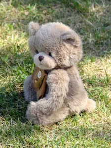 Nahaufnahme des süßen, flauschigen braunen Teddybären Plüschtiers mit abnehmbarem Rucksack.